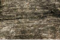 photo texture of wood bare